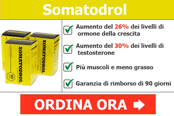 Ordina Somatodrol